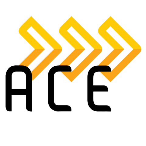 ACE Consultoria