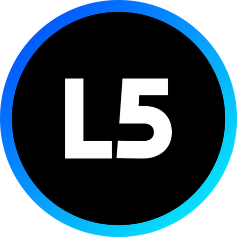 Level 5 Empresa Júnior